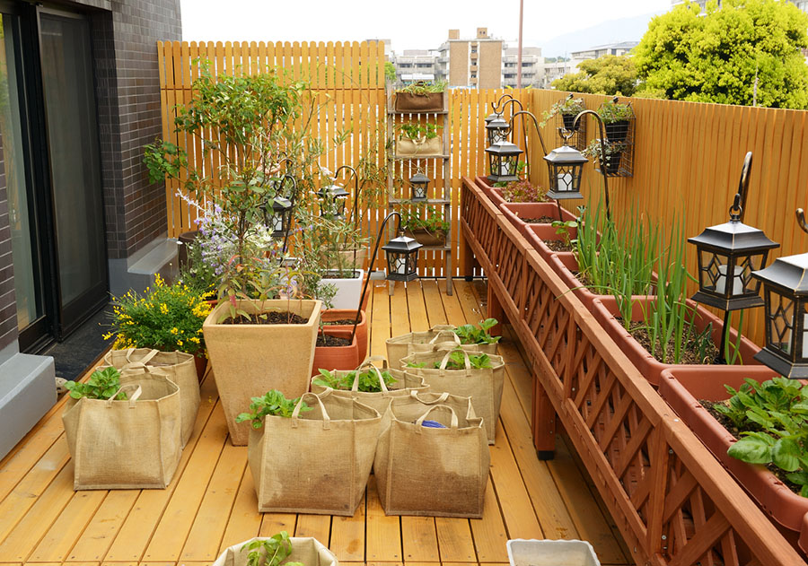 新居を紹介します